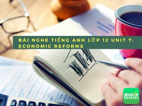 Bài nghe tiếng Anh lớp 12 Unit 7: Economic Reforms