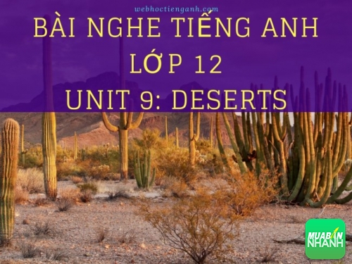 Bài nghe tiếng Anh lớp 12 Unit 9: Deserts