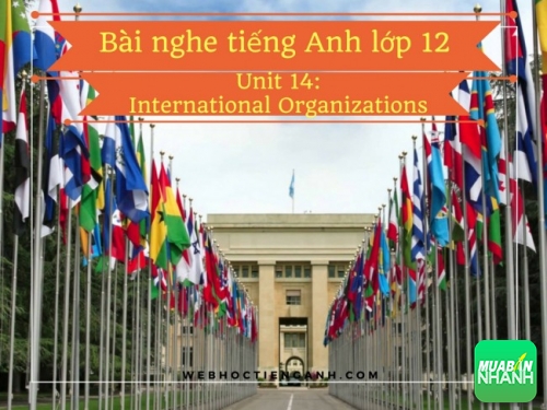 Bài nghe tiếng Anh lớp 12 Unit 14: International Organizations