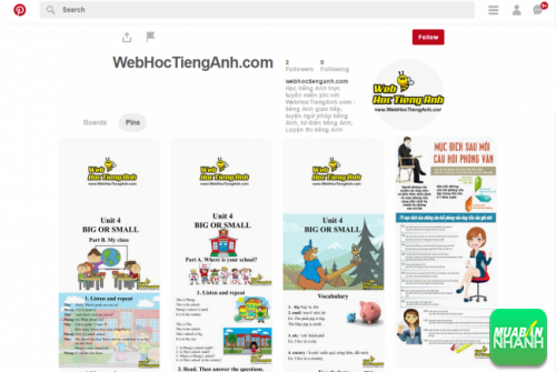 Pinterest WebHocTiengAnh - Bee Learn English