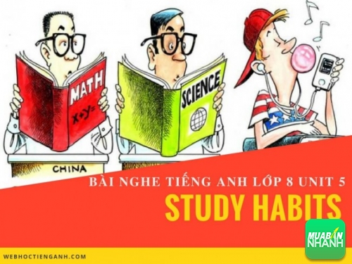 Bài nghe tiếng Anh lớp 8 Unit 5: Study Habits