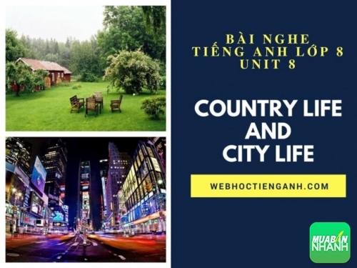 Bài nghe tiếng Anh lớp 8 Unit 8: Country Life and City Life