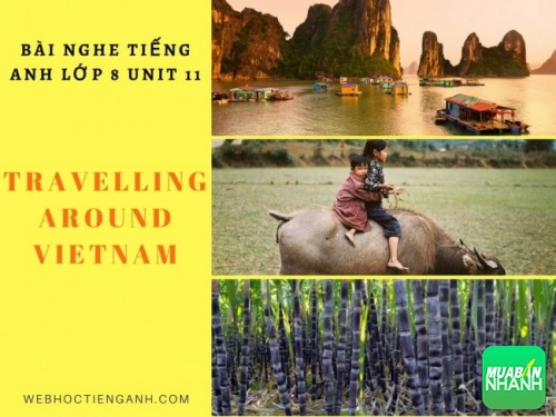 Bài nghe tiếng Anh lớp 8 Unit 11: Travelling Around Vietnam