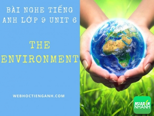 Bài nghe tiếng Anh lớp 9 Unit 6: The Environment