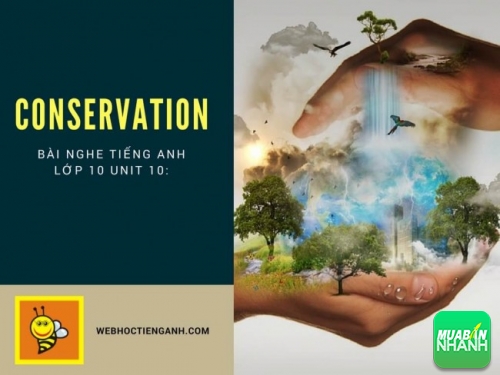 Bài nghe tiếng Anh lớp 10 Unit 10: Conservation