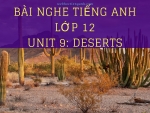 Bài nghe tiếng Anh lớp 12 Unit 9: Deserts