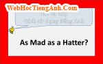 As mad as a hatter có nghĩa là gì?