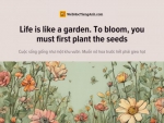 English idioms: Life is like a garden. To bloom, you must first plant the seeds - Cuộc sống giống như một khu vườn. Muốn nở hoa trước hết phải gieo hạt