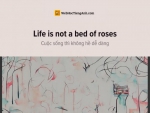 English idioms: Life is not a bed of roses - Cuộc sống thì không hề dễ dàng