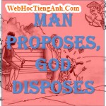 Man Proposes, God Disposes.