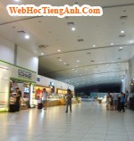 Situation 69: Market Research - Business English for Workplace