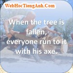 When the tree is fallen, everyone run to it with his axe