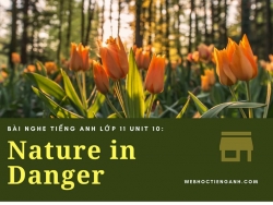 Bài nghe tiếng Anh lớp 11 Unit 10: Nature in Danger