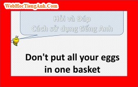 Don't put all your eggs in one basket