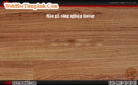 Lựa chọn sàn gỗ công nghiệp Malaysia
