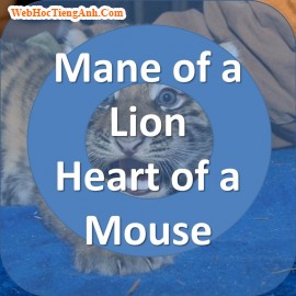 Mane of a Lion, Heart of a Mouse