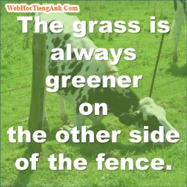 The grass is always greener on the other side of the fence