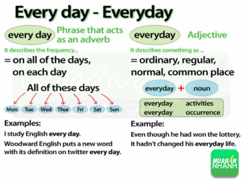 'Every day' hay 'Everyday'?