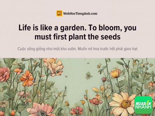 English idioms: Life is like a garden. To bloom, you must first plant the seeds - Cuộc sống giống như một khu vườn. Muốn nở hoa trước hết phải gieo hạt