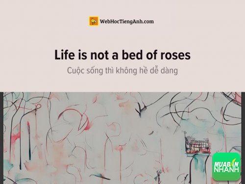 English idioms: Life is not a bed of roses - Cuộc sống thì không hề dễ dàng
